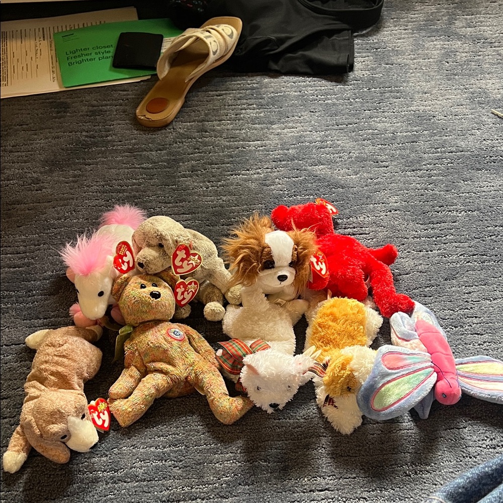 Ty rare Stuffed Animals Collection